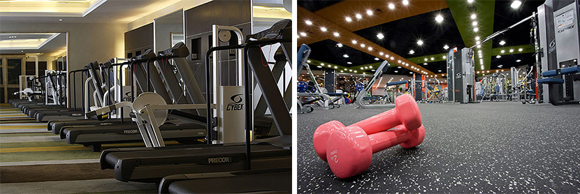 健身器材應用 健身器材應用