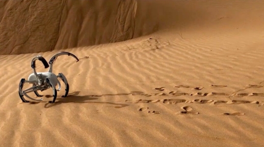 勘察機(jī)器人 勘察機(jī)器人